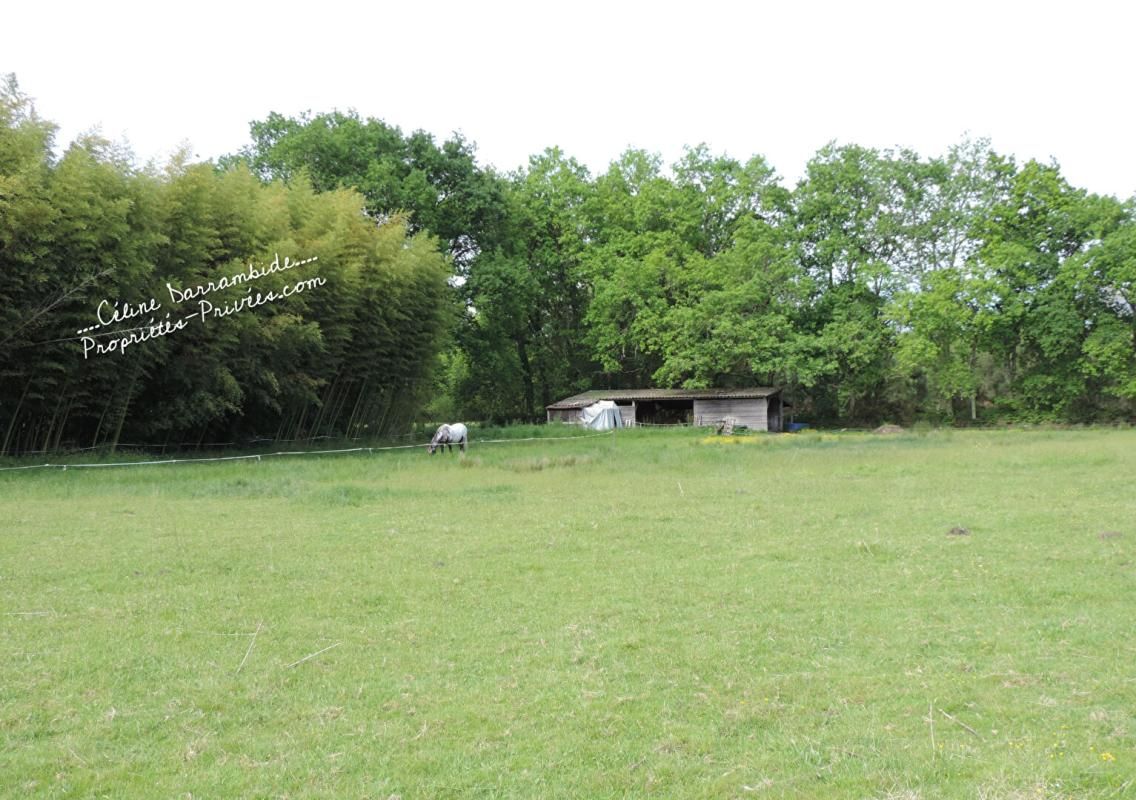 LUGLON Propriété avec étang, piscine et dépendances 2