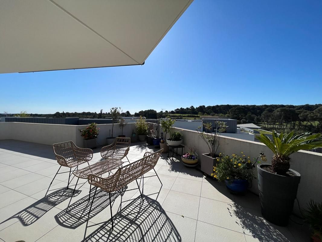 CASTELNAU-LE-LEZ Appartement Castelnau Le Lez 4 pièce(s) 96.38 m2 rooftop 3