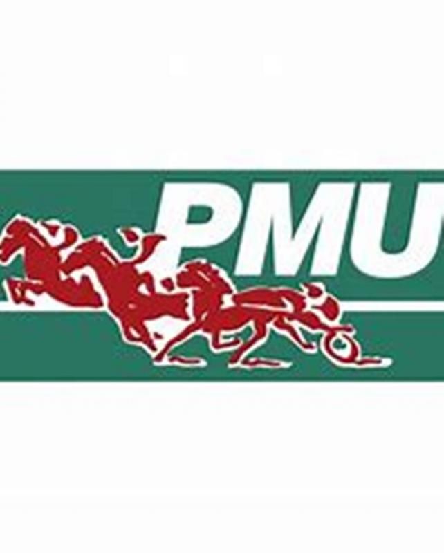 CHALON-SUR-SAONE 71100 CHALON SUR SAÔNE -  TABAC, FDJ, PMU, BIMBELOTERIE 4