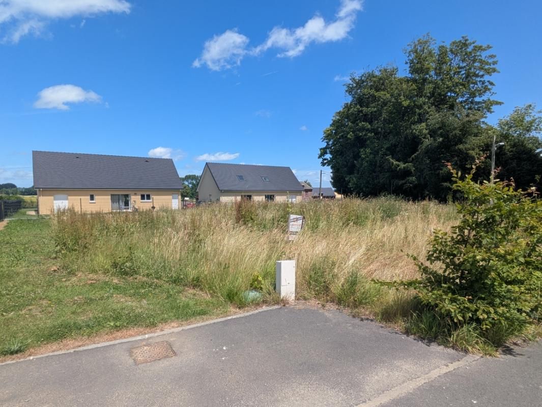 FAUVILLE-EN-CAUX Terrain constructible 896 m² ? 100% viabilisé -Environnement calme ? Ste Marguerite-sur-Fauville 4