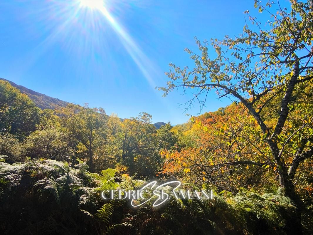 CASTANS TERRAIN A BATIR ? CASTANS 1