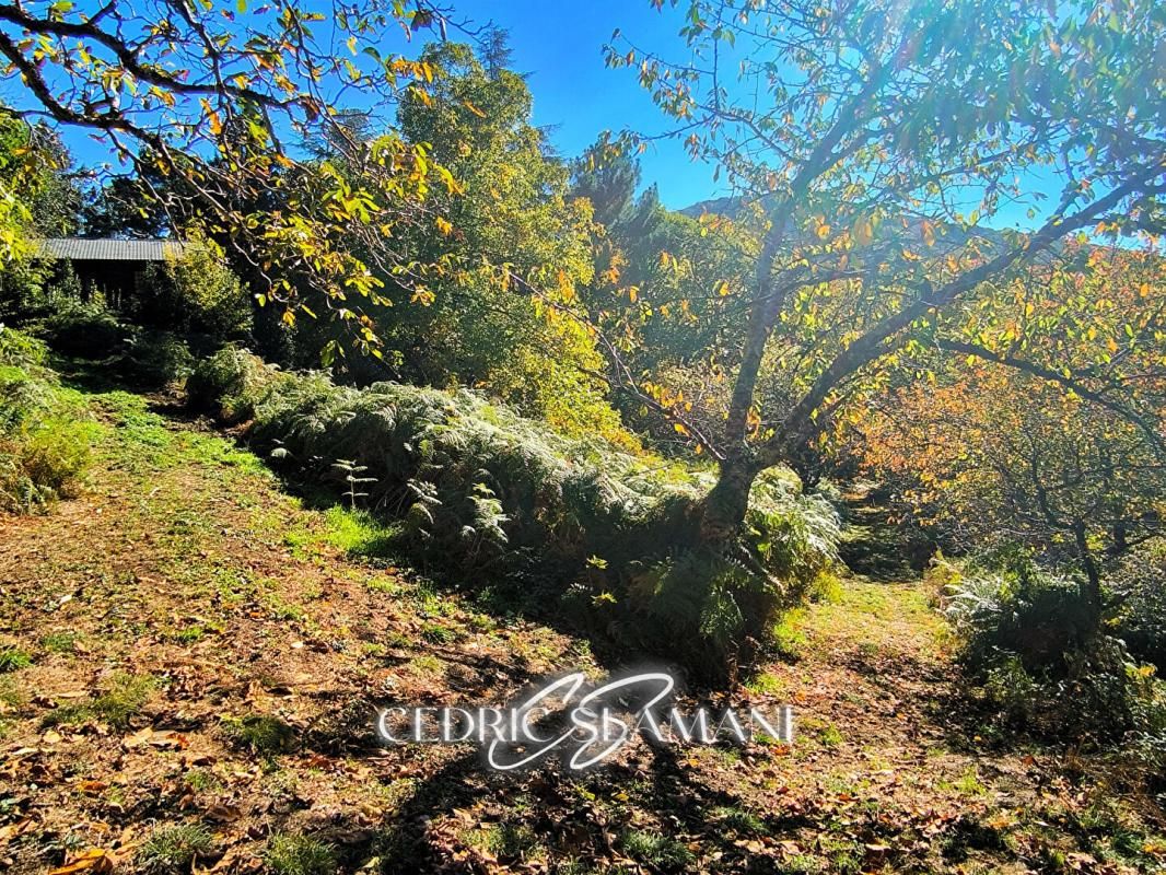 CASTANS TERRAIN A BATIR ? CASTANS 2