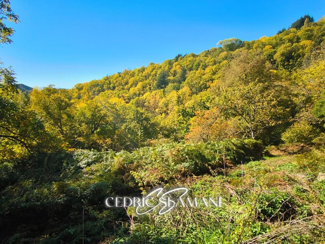 CASTANS TERRAIN A BATIR ? CASTANS 3