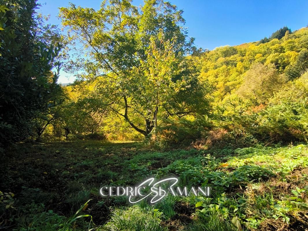 CASTANS TERRAIN A BATIR ? CASTANS 4