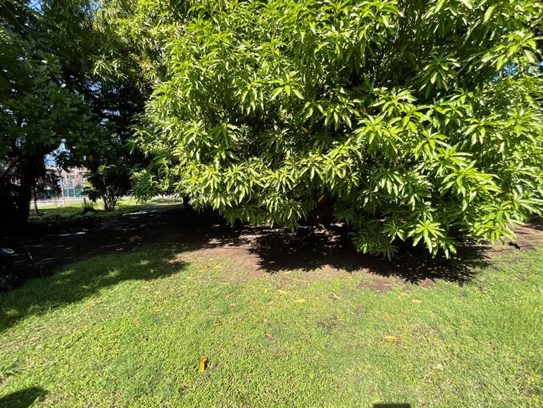 BASSE-TERRE Terrain Basse Terre 424 m2 3