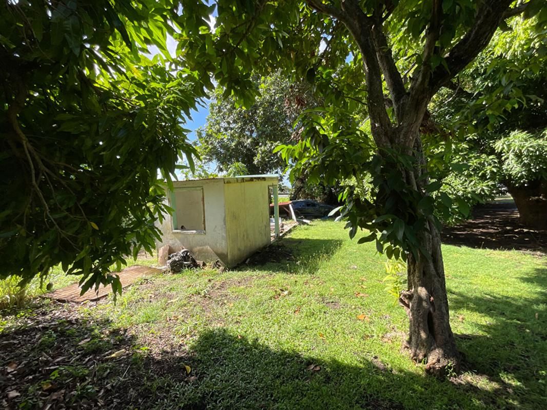 BASSE-TERRE Terrain Basse Terre 424 m2 4