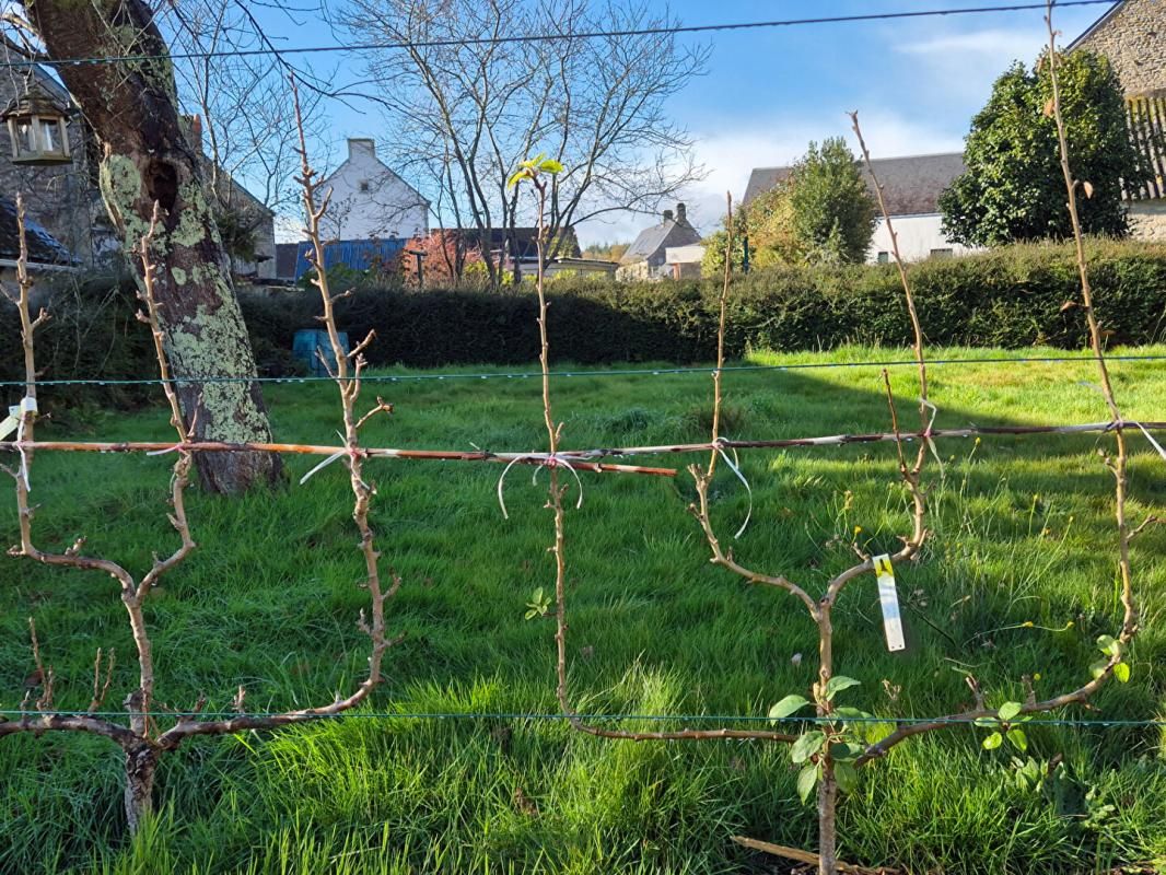 LOCMALO Charmante petite maison rénovée en 2023 de 63 m² sur terrain de 500 m2 (Morbihan). (3 min de Guéméné-sur-Scorff,  18 min de Pontivy, 25 min de Plouay) 3