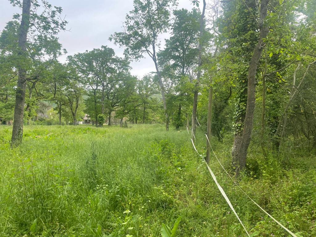 MOISSON Terrain d'exception proche du golf de Moisson (2465 m2) 2