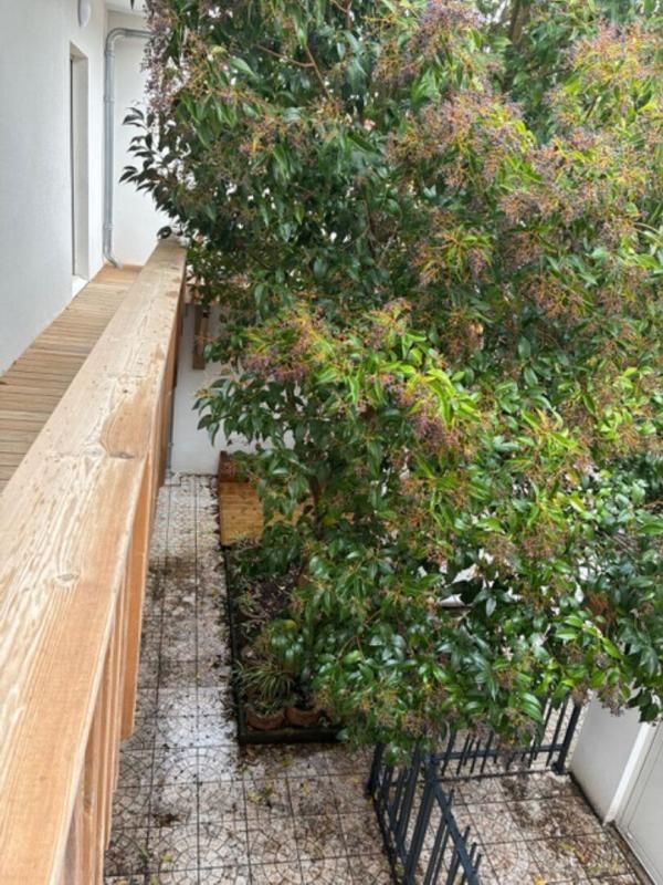 ARCACHON Arcachon Centre magnifique appartement proche centre et plage 3