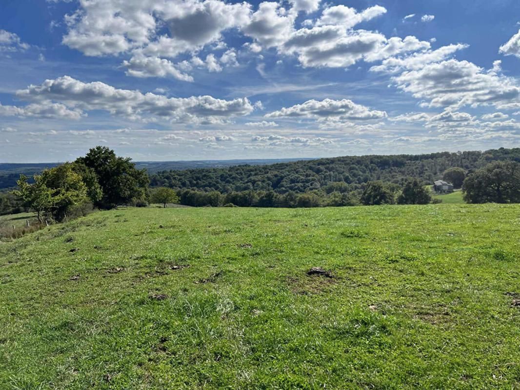 EXCIDEUIL Maison de maître Excideuil 5 pièce(s) 150 m2 et ses 36ha de terres 1