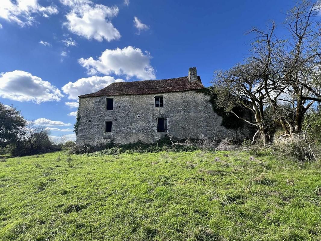 EXCIDEUIL Maison de maître Excideuil 5 pièce(s) 150 m2 et ses 36ha de terres 2