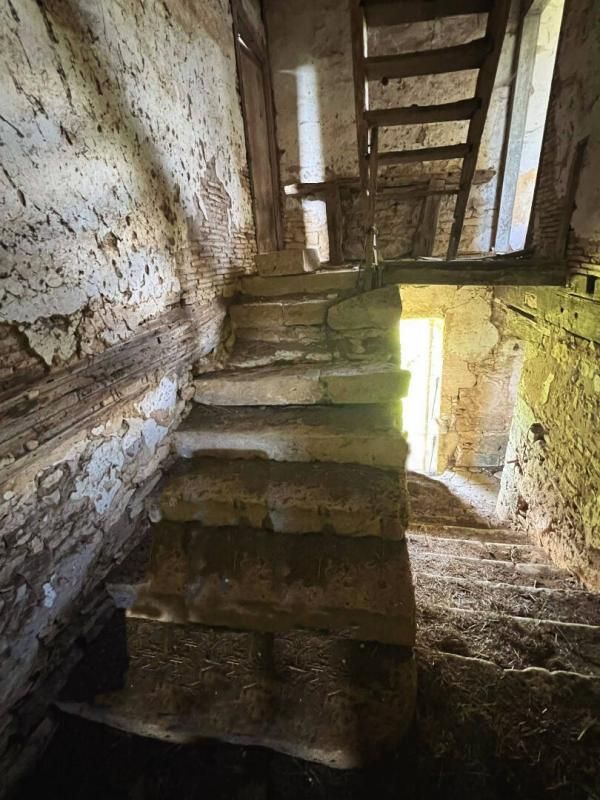 EXCIDEUIL Maison de maître Excideuil 5 pièce(s) 150 m2 et ses 36ha de terres 4