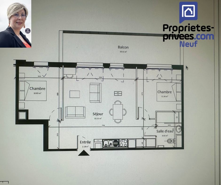 PLEURTUIT Appartement Pleurtuit 62.15 m2 LMP/LMNP 2
