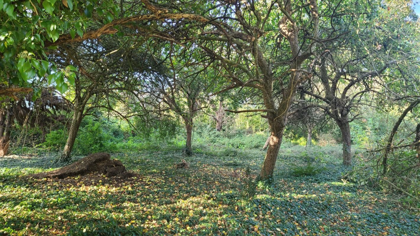 PLOUEGAT-GUERAND Corps de ferme  avec terrain ,dépendances et hangars 4
