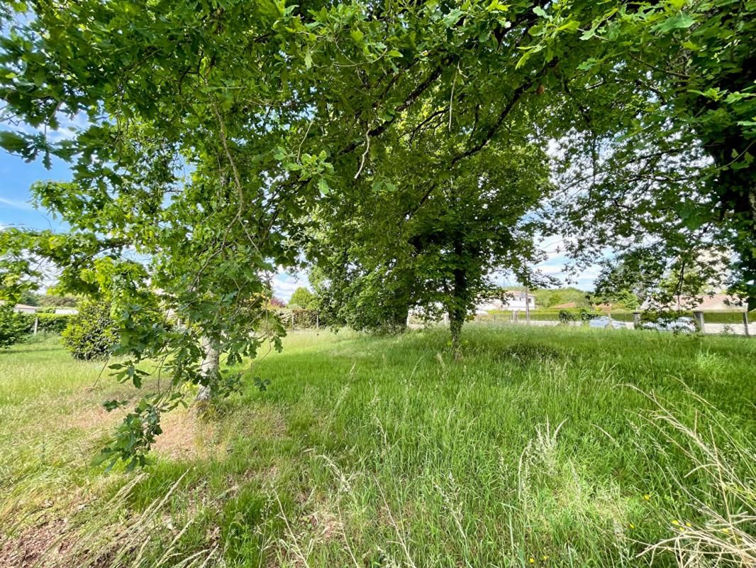 MERIGNAC Terrain Merignac 1119 m2 2