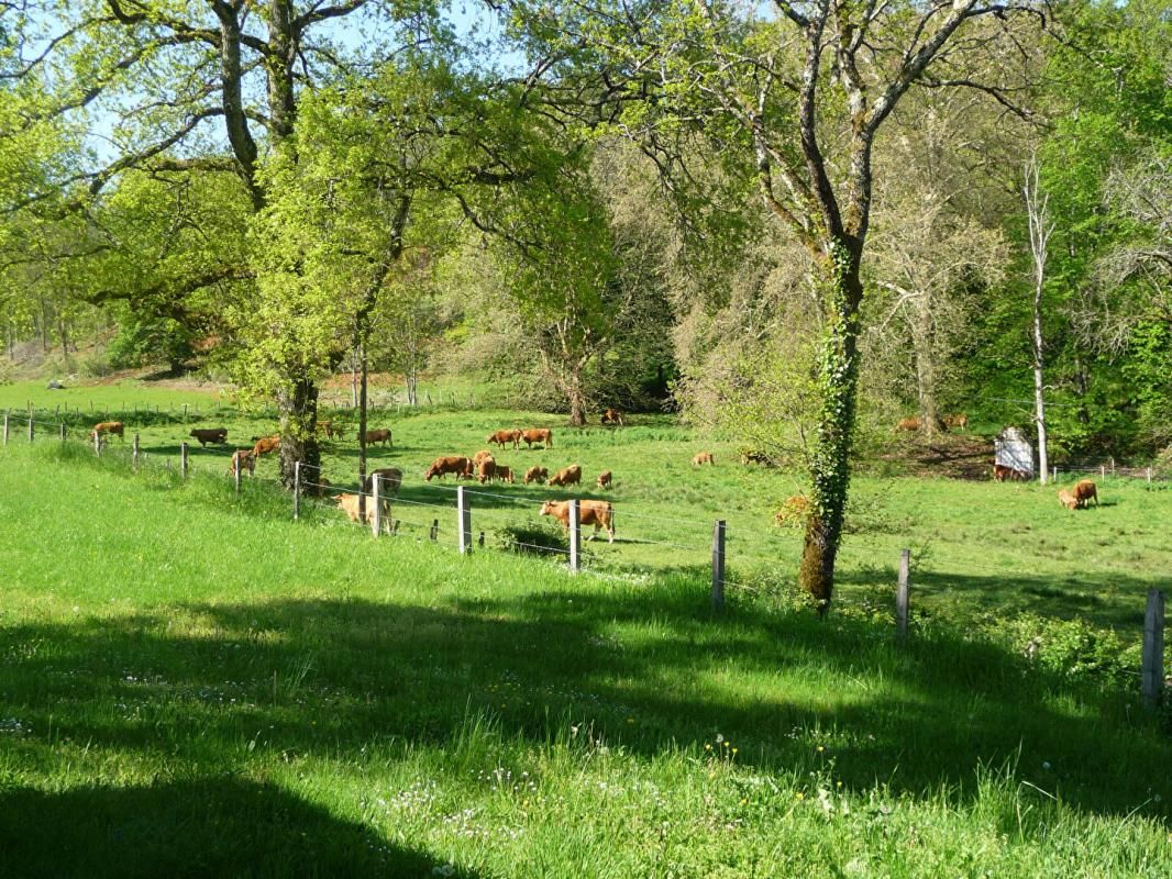 GOURDON Maison dans un village de vacances à Gourdon 2