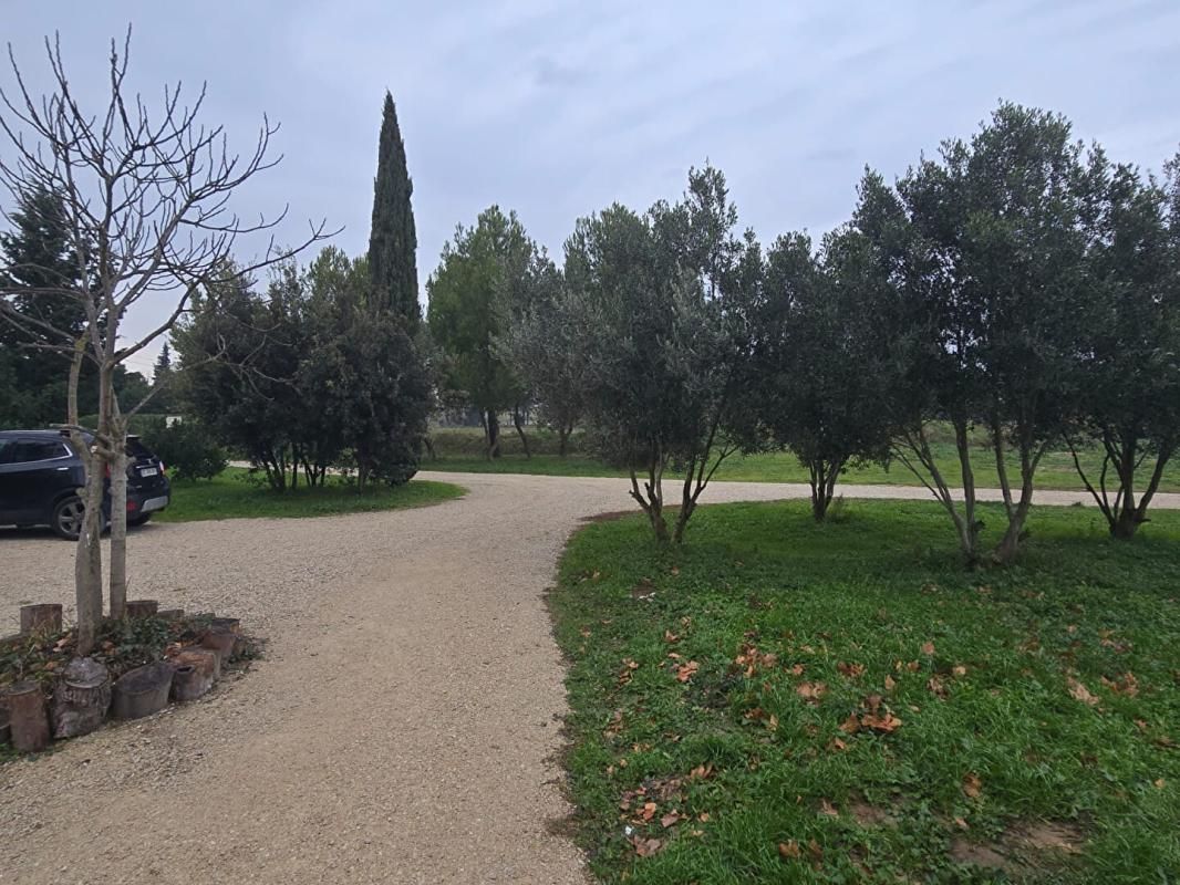 AVIGNON Demeure de prestige 10 pièce(s) 420 m2 3