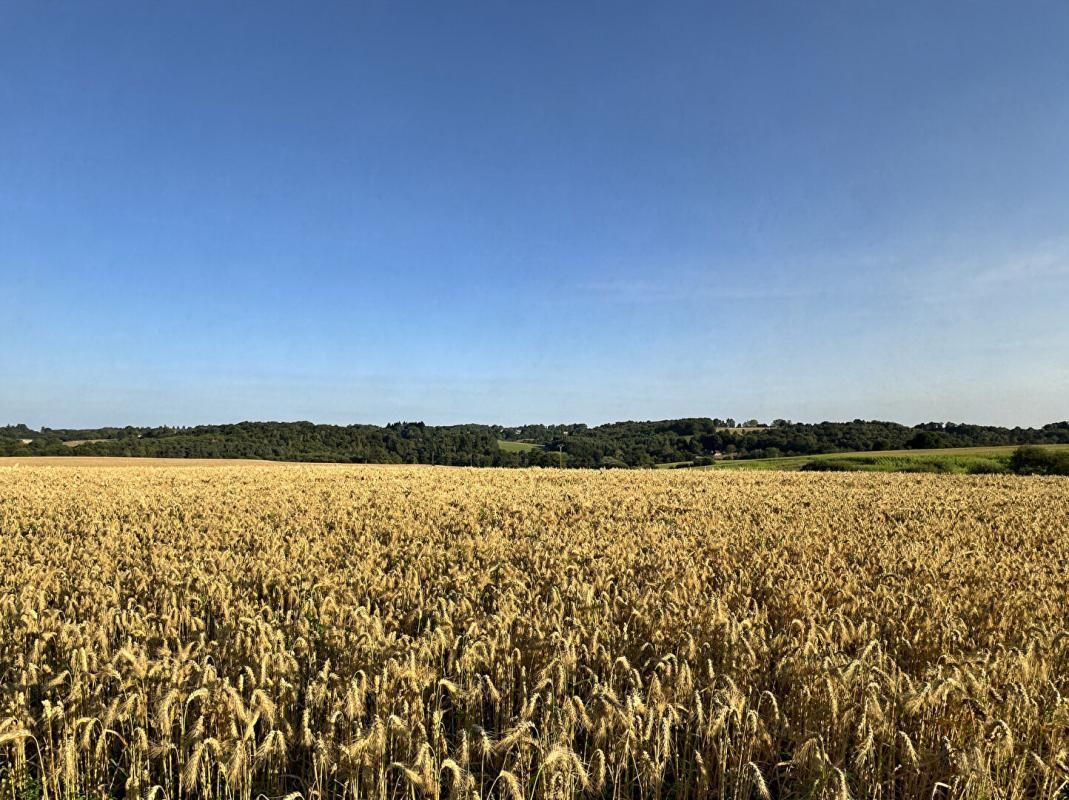 PAYZAC PROPRIETE CEREALIERE 2