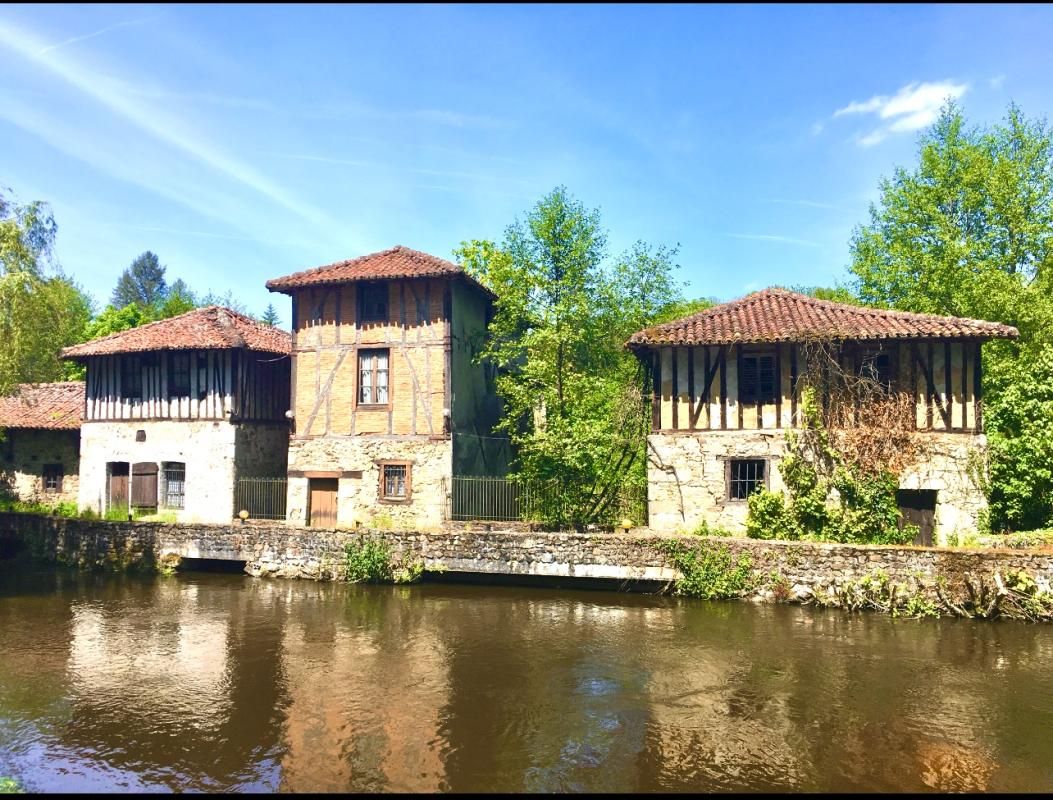 SAINT-LEONARD-DE-NOBLAT À 20 minutes de Limoges - Un domaine historique unique : Grand Moulin du XIXe siècle + 4 moulins du XIIe siècle 1