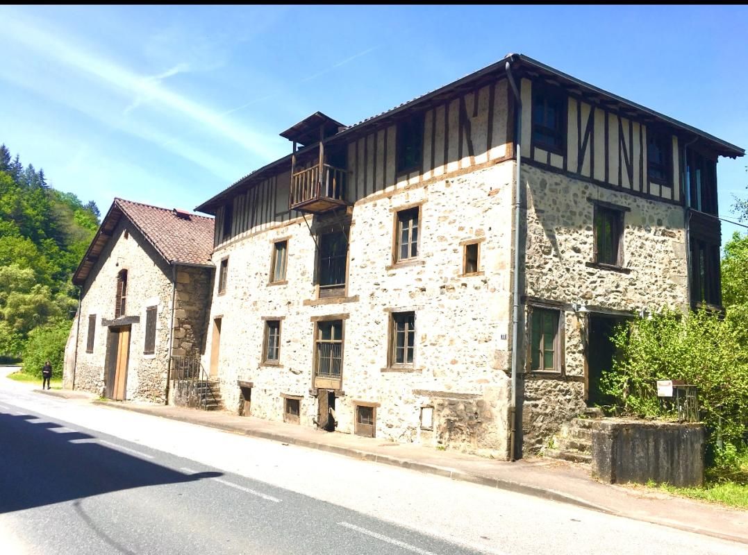 SAINT-LEONARD-DE-NOBLAT À 20 minutes de Limoges - Un domaine historique unique : Grand Moulin du XIXe siècle + 4 moulins du XIIe siècle 2