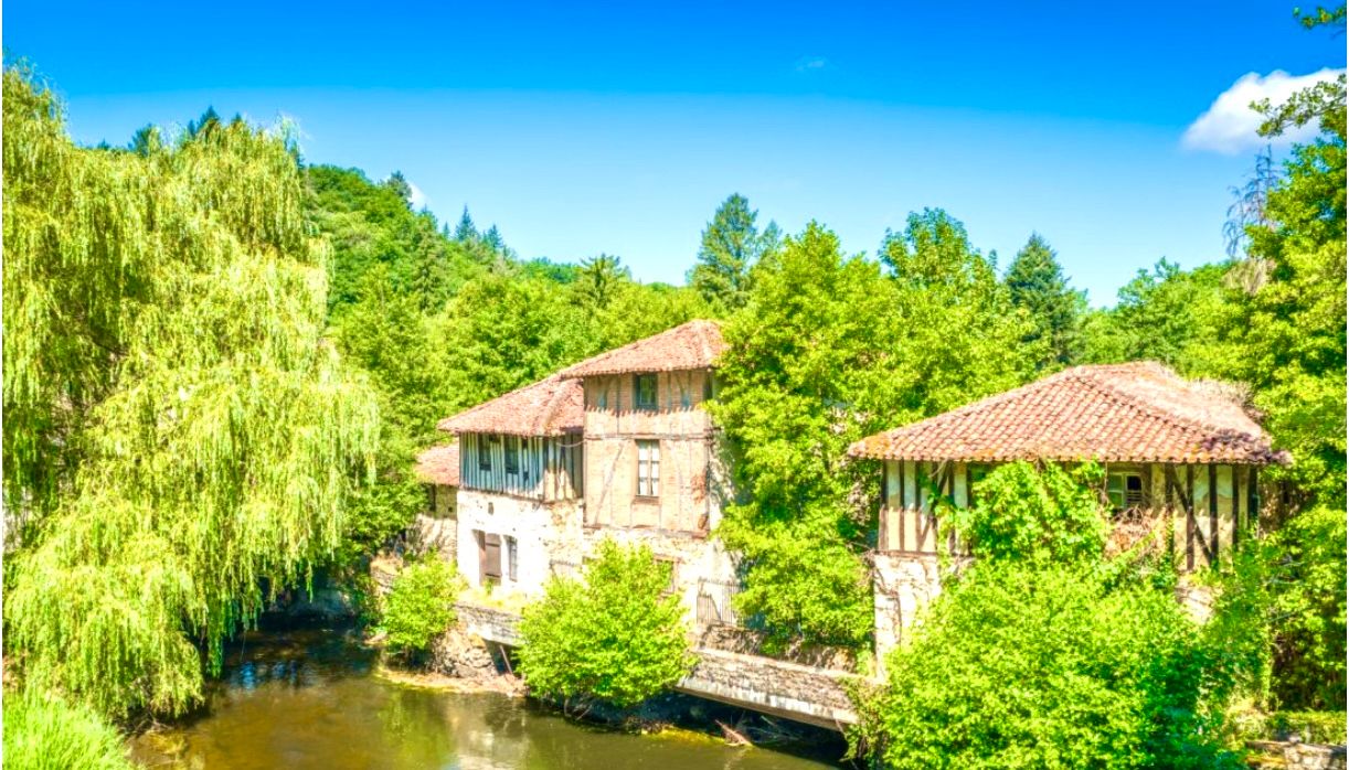 SAINT-LEONARD-DE-NOBLAT À 20 minutes de Limoges - Un domaine historique unique : Grand Moulin du XIXe siècle + 4 moulins du XIIe siècle 4