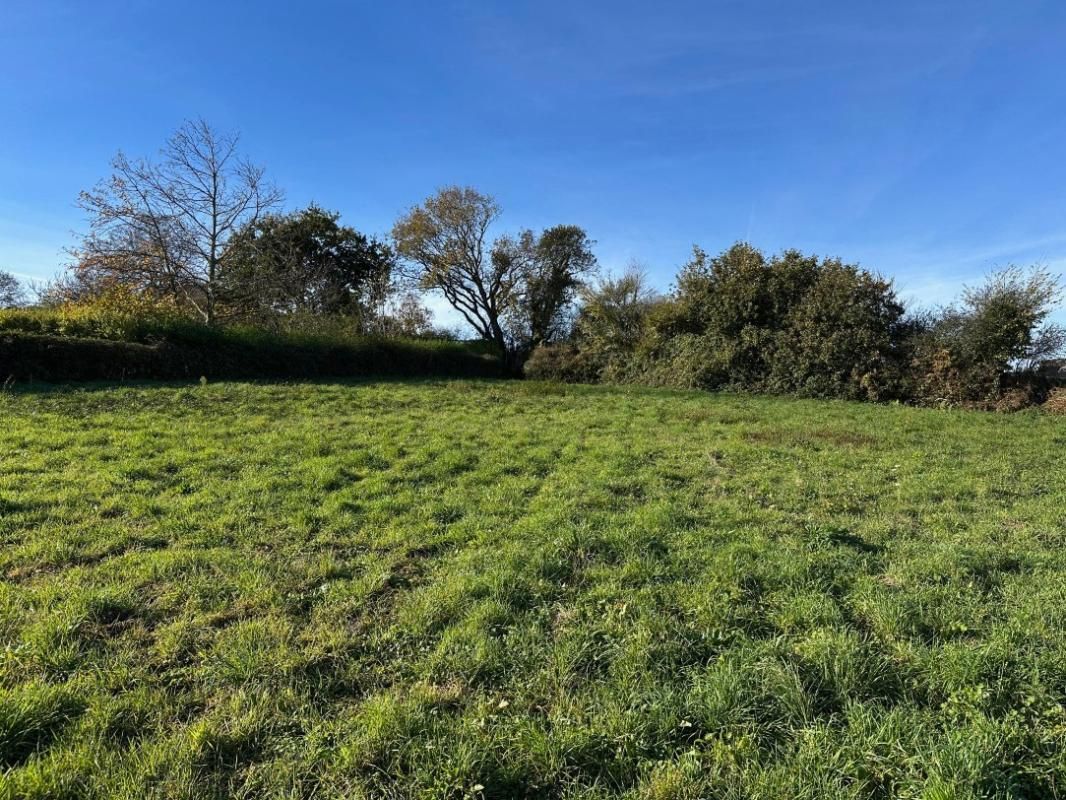TREGUIER Terrain  constructible de 2660 m2 2