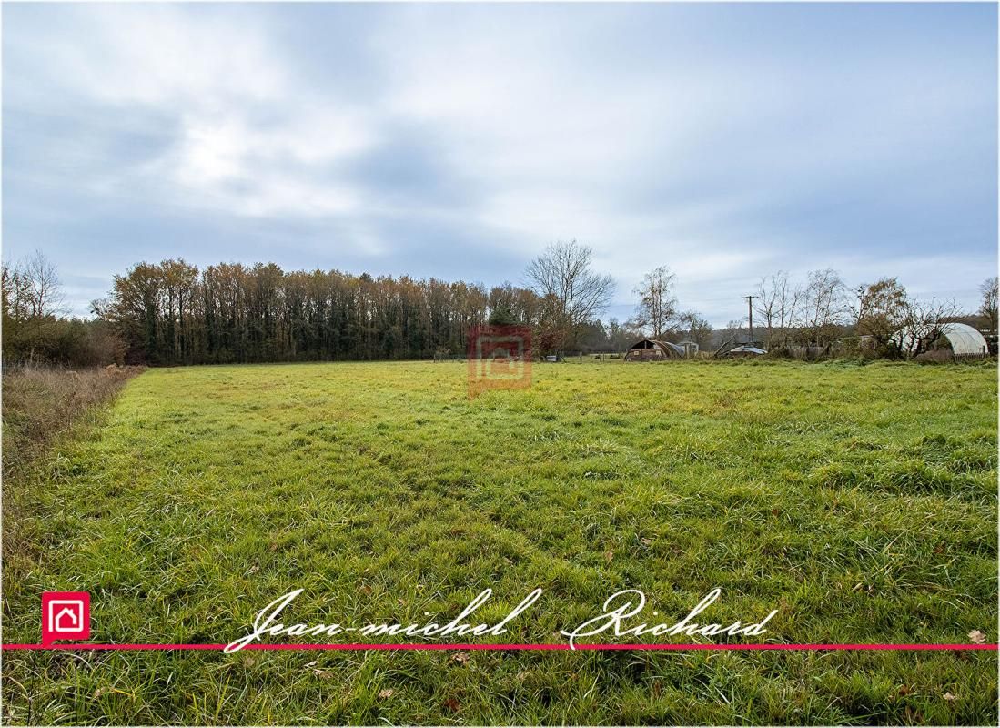 BILLY Terrain Billy 24590 m2 4