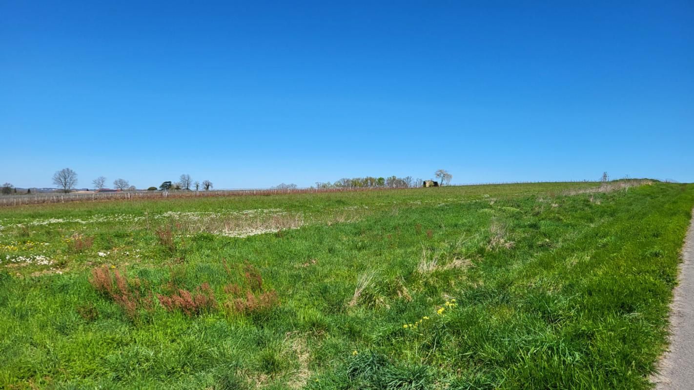 PINEUILH 33220 proche Pineuilh Terrain pour reboisement d'une superficie de 6ha 37 avec contrat 2