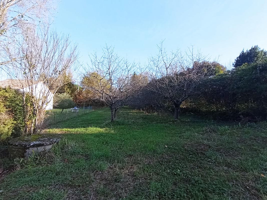 ALBI Terrain constructible avec cabanon 2