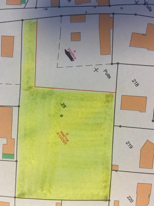 Terrain La Chapelle D Aligne 4421 m2