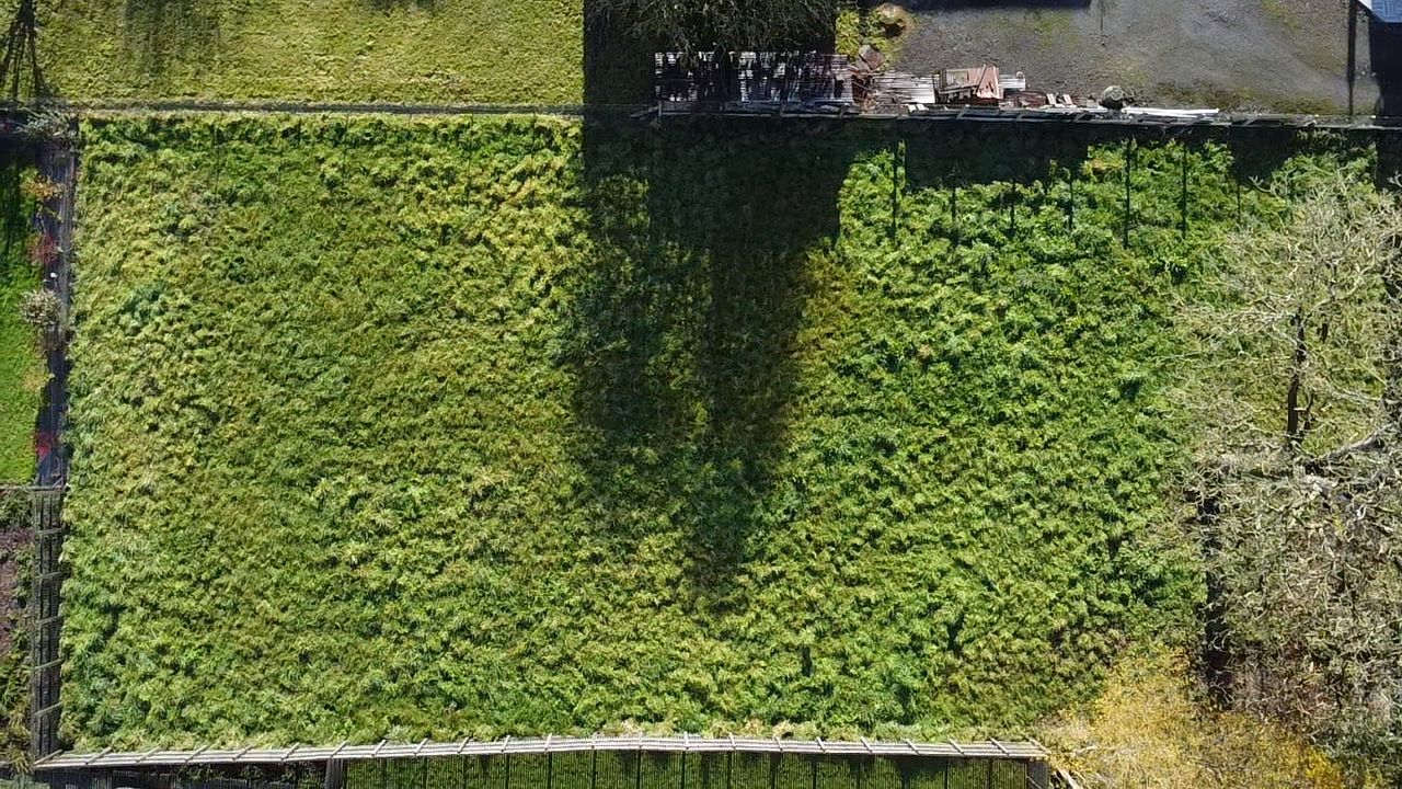 SAINT-MEEN-LE-GRAND TERRAIN CONSTRUCTIBLE 849 m² au coeur de Saint-Méen-le-Grand 3