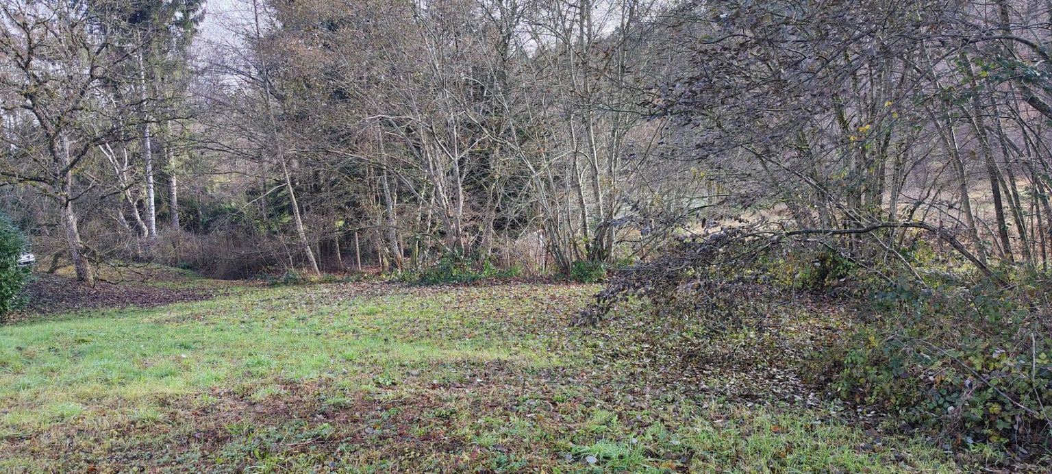 ROUGEMONT-LE-CHATEAU ROUGEMONT LE CHATEAU : Terrain constructible 12ares41 3