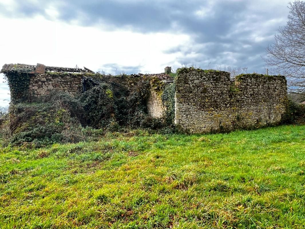 LES CHATELLIERS-CHATEAUMUR Ruine en Pierre, Les Châtelliers-Châteaumur 4