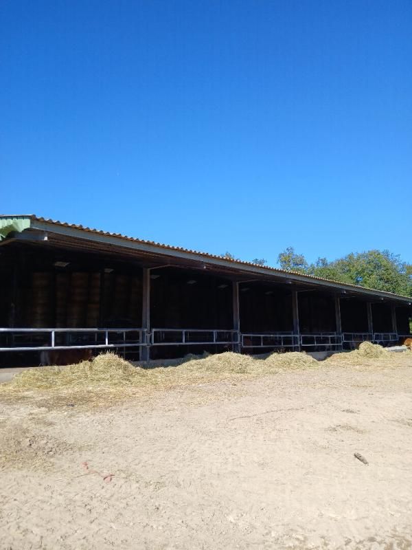LADIGNAC-LE-LONG Batiment agricole et 43 hectares de terres agricoles 1