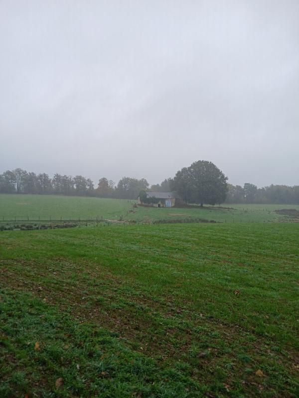 LADIGNAC-LE-LONG Batiment agricole et 43 hectares de terres agricoles 4