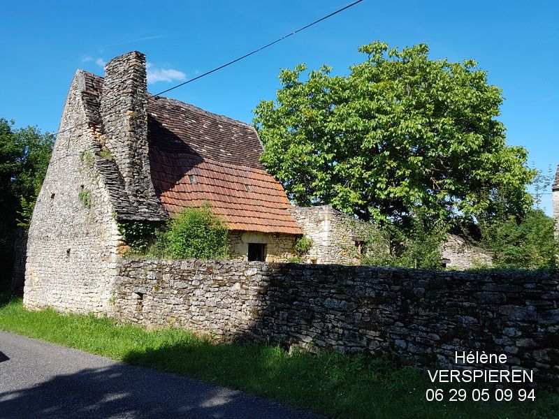 LE BUISSON-DE-CADOUIN Corps de ferme a restaurer 6 pièce(s) 185 m2 sur 5300 m2 environ 2