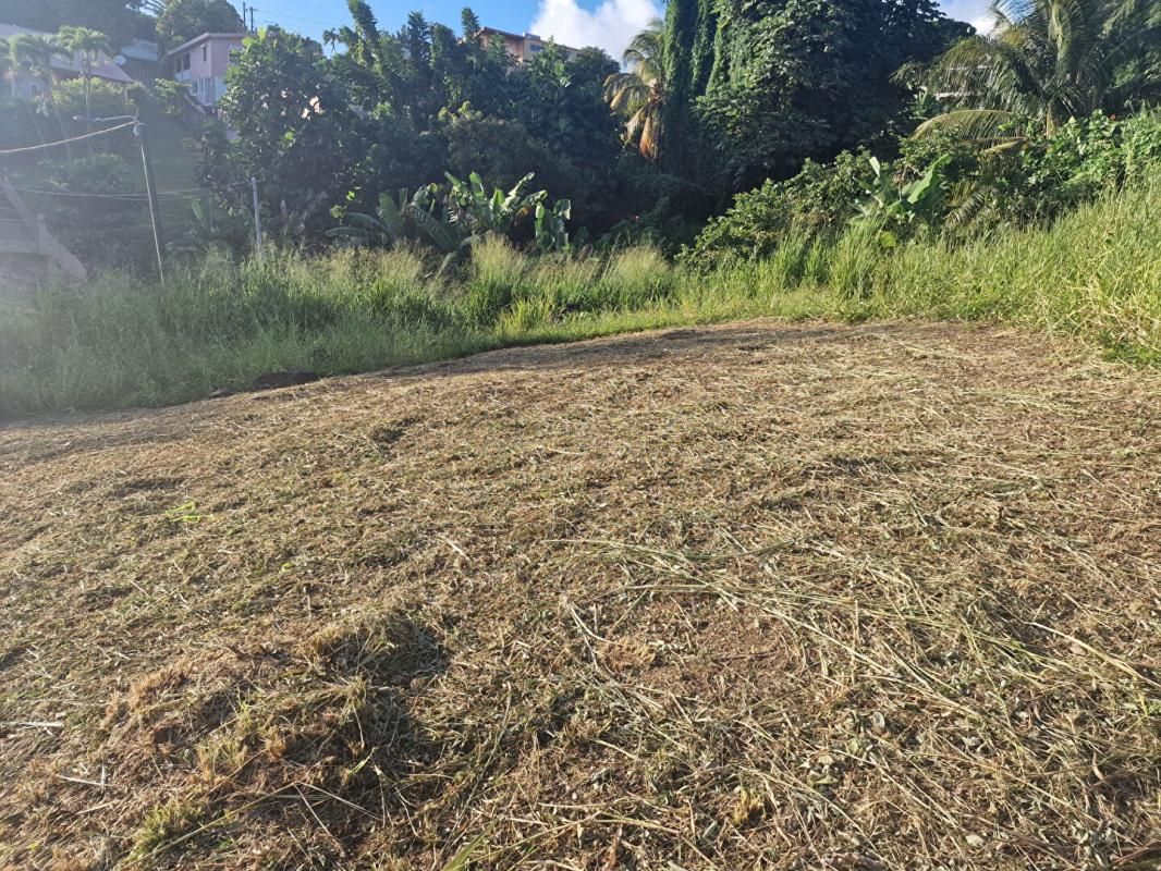 SCHOELCHER Terrain-Schoelcher-Terreville 1