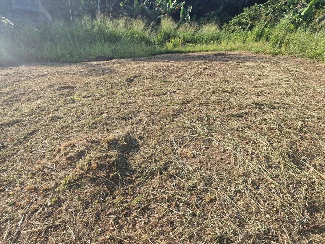 SCHOELCHER Terrain-Schoelcher-Terreville 2