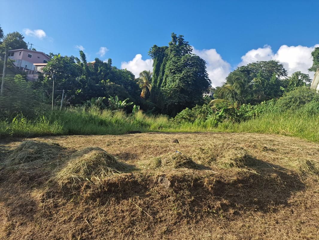 SCHOELCHER Terrain-Schoelcher-Terreville 3