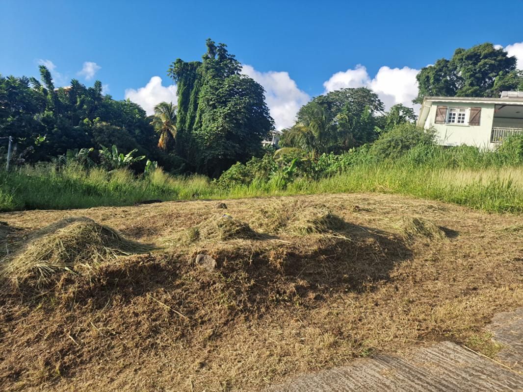 SCHOELCHER Terrain-Schoelcher-Terreville 4