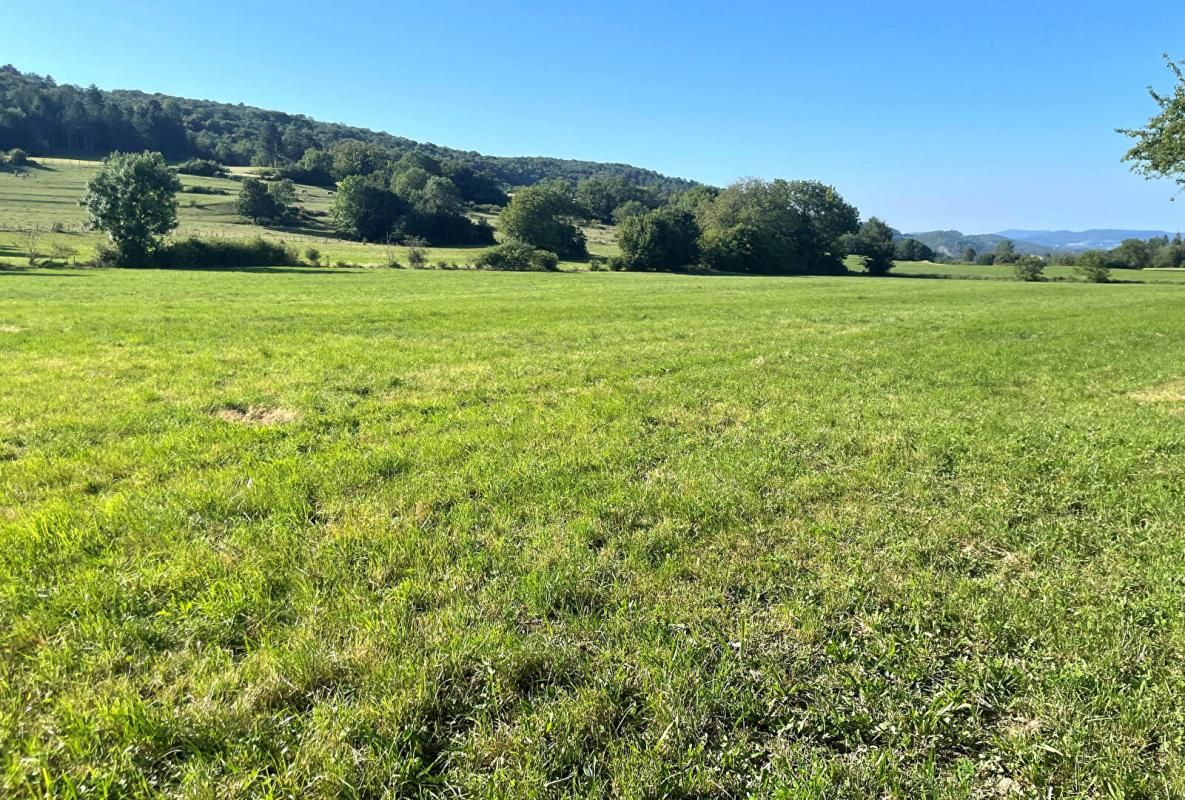 VOSBLES Maison à rénover sur pratiquement un hectare 4