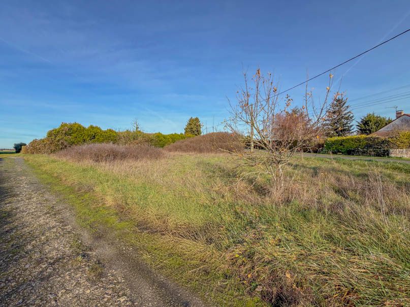 BILLY Terrain Billy 1290 m2 2