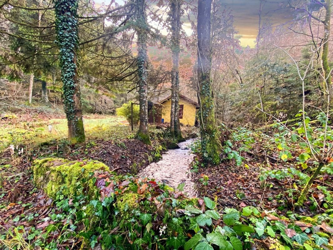 WILLER-SUR-THUR Terrain + cabane + lac naturel  , Willer sur THUR 68760 2