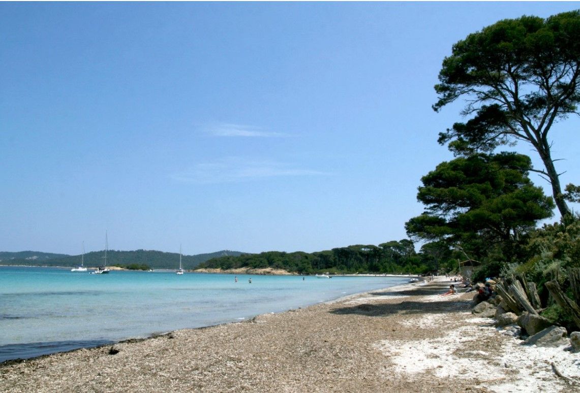 Appartement T2,de 40,75 m2 , avec terrasse de 15 m2 ,dans le centre de Hyeres les palmiers