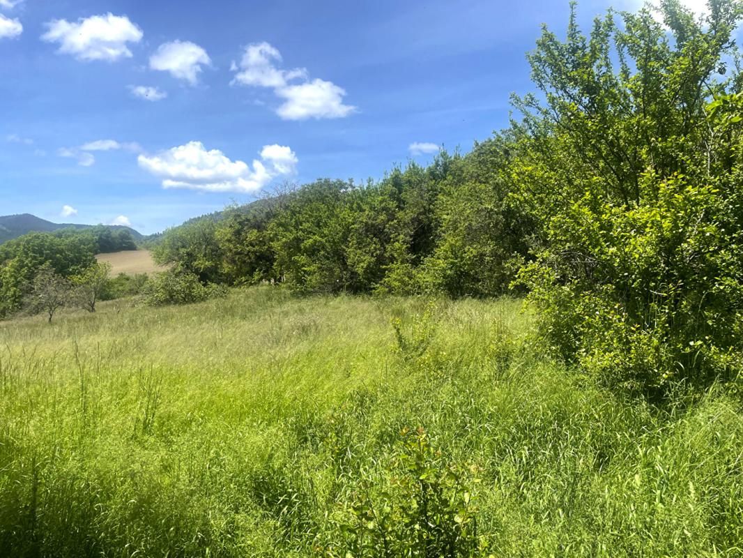 SAINT-LIONS Terrain constructible 989m2 Saint Lions (04 330) Alpes-de-Haute-Provence 2