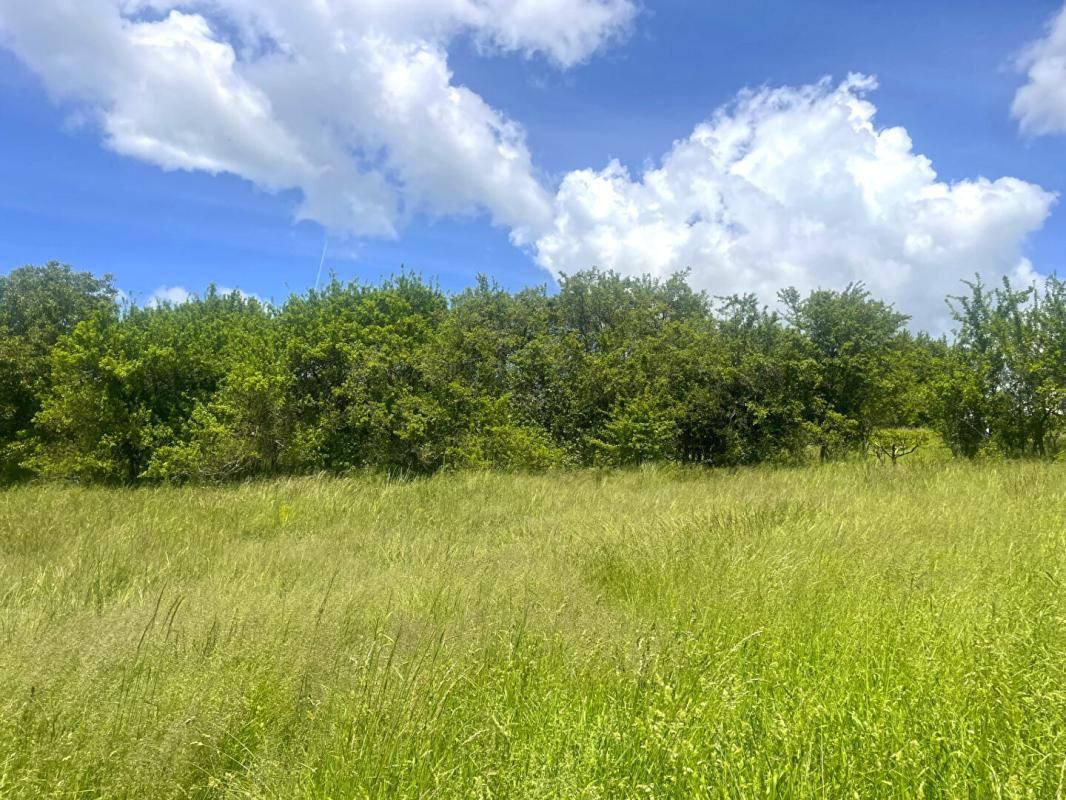 SAINT-LIONS Terrain constructible 989m2 Saint Lions (04 330) Alpes-de-Haute-Provence 3