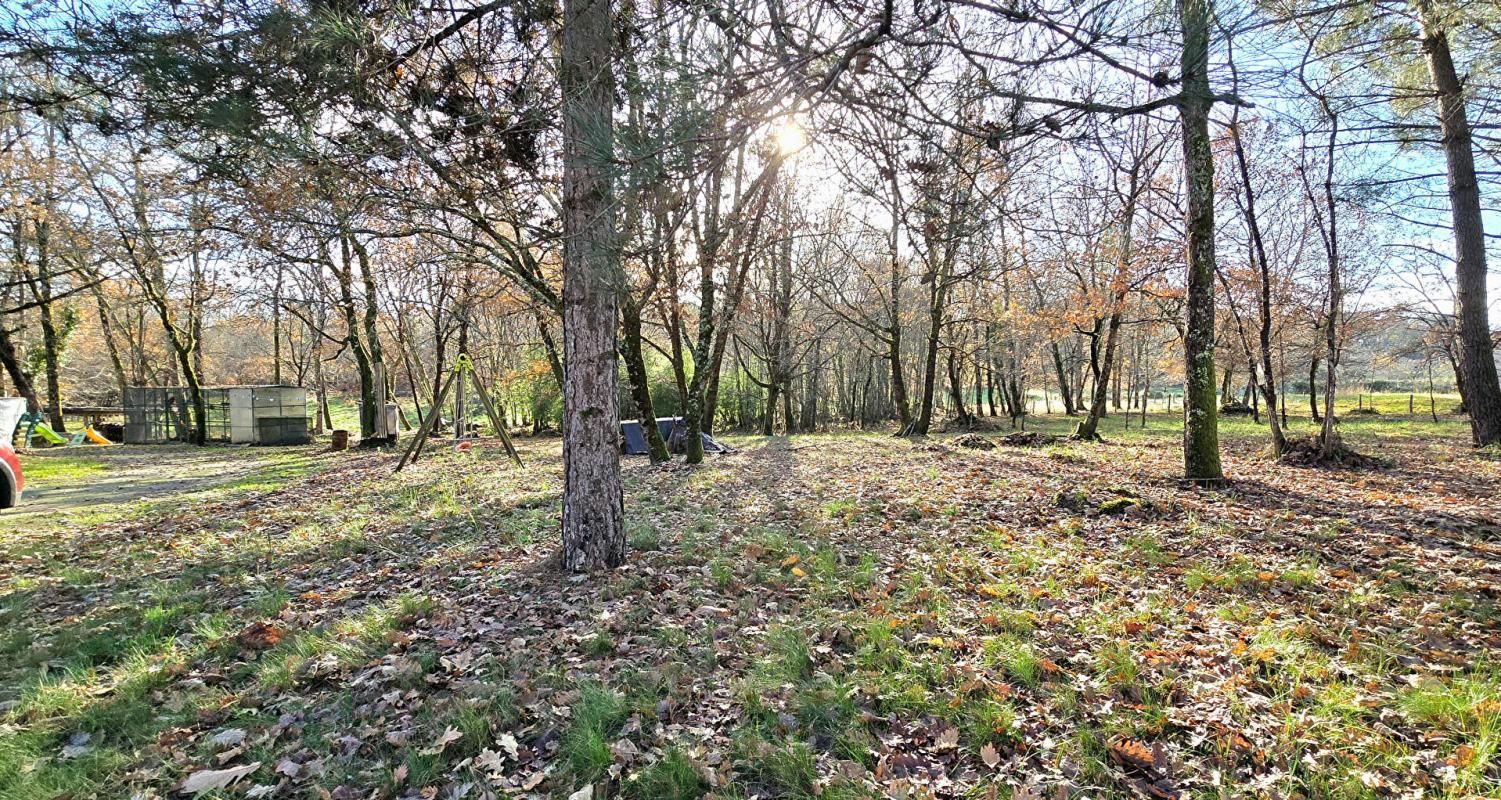 SAINT-ASTIER Maison avec sous sol parcelle boise et constructible 2