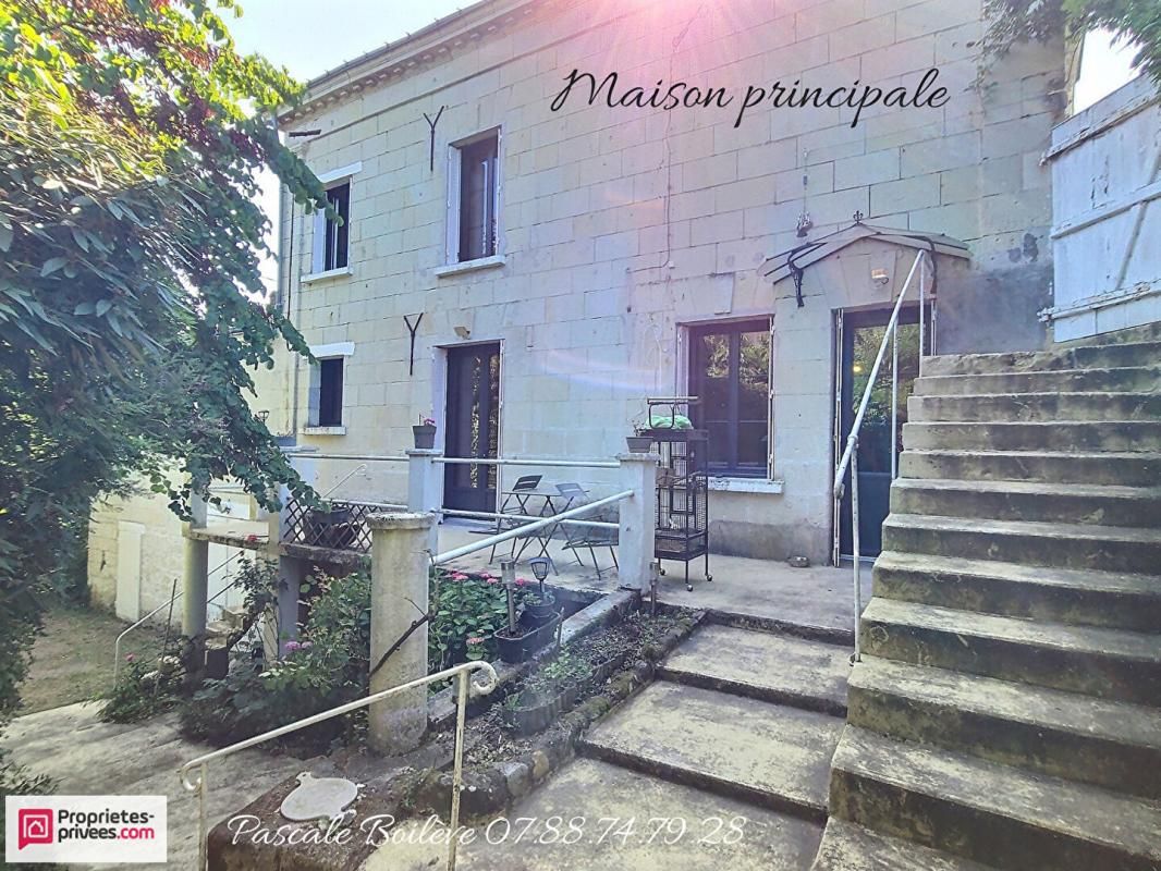 VARENNES-SUR-LOIRE Maison + gîte en bord de Loire - Varennes sur Loire (49730) 1