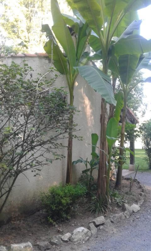 ALBI Maison de charme au bord du Tarn 4