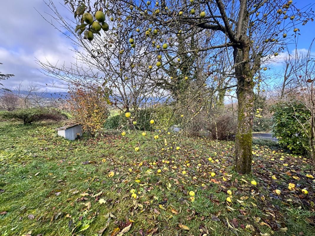 SAINT-CASSIN Terrain constructible-  Saint Cassin -577 m2 - libre constructeur 3